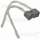 Purchase Top-Quality Dimmer Switch Connector by BLUE STREAK (HYGRADE MOTOR) - HP4135 pa12