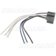 Purchase Top-Quality Dimmer Switch Connector by BLUE STREAK (HYGRADE MOTOR) - S632 pa2
