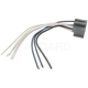 Purchase Top-Quality Dimmer Switch Connector by BLUE STREAK (HYGRADE MOTOR) - S632 pa4