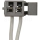 Purchase Top-Quality Dimmer Switch Connector by BLUE STREAK (HYGRADE MOTOR) - S663 pa12