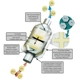 Purchase Top-Quality Direct Fit Converter by EASTERN CATALYTIC - 30310 pa2