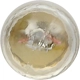 Purchase Top-Quality Directional Signal Indicator by SYLVANIA - 1816.TP pa13