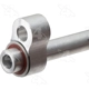 Purchase Top-Quality Discharge Line by FOUR SEASONS - 66163 pa3