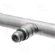 Purchase Top-Quality Discharge Line by FOUR SEASONS - 66167 pa3