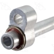 Purchase Top-Quality Discharge Line by FOUR SEASONS - 66167 pa4