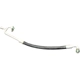 Purchase Top-Quality GLOBAL PARTS DISTRIBUTORS - 4811977 - Hose Discharge Line pa2