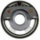 Purchase Top-Quality Distributor Breaker Plate by BLUE STREAK (HYGRADE MOTOR) - LX961 pa2