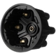 Purchase Top-Quality BWD AUTOMOTIVE - C151 - Distributor Cap pa1