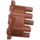 Purchase Top-Quality BWD AUTOMOTIVE - C981 - Distributor Cap pa2
