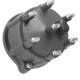 Purchase Top-Quality STANDARD/T-SERIES - FD176T - Distributor Cap pa8