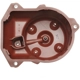 Purchase Top-Quality STANDARD/T-SERIES - JH214T - Distributor Cap pa6
