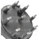 Purchase Top-Quality STANDARD/T-SERIES - FD168T - Distributor Cap pa6