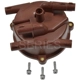 Purchase Top-Quality Distributor Cap by STANDARD/T-SERIES - JH208T pa13