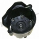 Purchase Top-Quality Distributor Cap by WALKER PRODUCTS - 925-1009 pa2