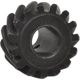 Purchase Top-Quality BLUE STREAK (HYGRADE MOTOR) - DG21 - Distributor Drive Gear pa2