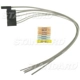 Purchase Top-Quality Dome Light Connector by BLUE STREAK (HYGRADE MOTOR) - S1119 pa8