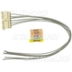 Purchase Top-Quality Connecteur de plafonnier de BLUE STREAK (HYGRADE MOTOR) - S1144 pa2