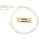 Purchase Top-Quality Dome Light Connector by BLUE STREAK (HYGRADE MOTOR) - S1527 pa6