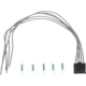 Purchase Top-Quality Dome Light Connector by BWD AUTOMOTIVE - PT1117 pa1
