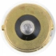 Purchase Top-Quality Dome Light by PHILIPS - 1003B2 pa25