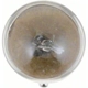 Purchase Top-Quality Dome Light by PHILIPS - 12814B2 pa15