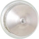 Purchase Top-Quality Dome Light by PHILIPS - 12854B2 pa12