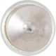 Purchase Top-Quality Dome Light by PHILIPS - 12854B2 pa14