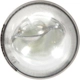 Purchase Top-Quality Dome Light by PHILIPS - 158LLB2 pa43
