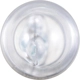 Purchase Top-Quality Dome Light by PHILIPS - 168LLB2 pa41