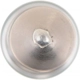 Purchase Top-Quality Dome Light (Pack of 10) by PHILIPS - 578LLCP pa24