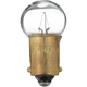 Purchase Top-Quality Dome Light (Pack of 10) by PHILIPS - 57CP pa14