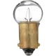 Purchase Top-Quality Dome Light (Pack of 10) by PHILIPS - 57CP pa25