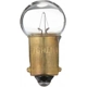 Purchase Top-Quality Dome Light (Pack of 10) by PHILIPS - 57CP pa39