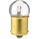 Purchase Top-Quality Dome Light by PHILIPS - 631B2 pa44