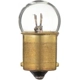 Purchase Top-Quality Dome Light (Pack of 10) by PHILIPS - 631CP pa23