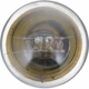 Purchase Top-Quality Dome Light (Pack of 10) by PHILIPS - 631CP pa34