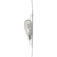 Purchase Top-Quality PHILIPS - 912LLB2 - Dome Light pa5