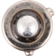 Purchase Top-Quality Dome Light by PHILIPS - H21WCP pa3