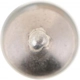 Purchase Top-Quality Dome Light (Pack of 10) by PHILIPS - DE3021LLCP pa8