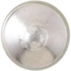 Purchase Top-Quality Dome Light by PHILIPS - DE3022LLB2 pa12