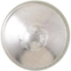 Purchase Top-Quality Dome Light by PHILIPS - DE3022LLB2 pa28