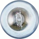 Purchase Top-Quality Dome Light by PHILIPS - P21WCVB2 pa68