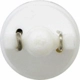 Purchase Top-Quality Dome Light by SYLVANIA - 194SL.BP pa20