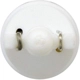 Purchase Top-Quality Dome Light by SYLVANIA - 194SL.BP pa56