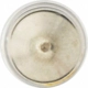 Purchase Top-Quality Dome Light by SYLVANIA - 6418.BP2 pa5