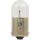 Purchase Top-Quality Dome Light (Pack of 10) by SYLVANIA - 67.TP pa1