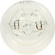 Purchase Top-Quality Dome Light by SYLVANIA - 906LL.BP2 pa28