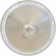 Purchase Top-Quality Dome Light by SYLVANIA - DE3175.BP2 pa14