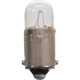 Purchase Top-Quality WAGNER - BP17131 - Dome Light pa27