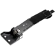 Purchase Top-Quality DORMAN (OE SOLUTIONS) - 924-156 - Door Check Strap pa6